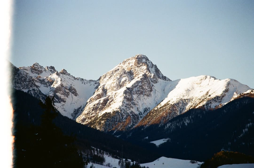 https://img1.utuku.imgcdc.com/650x0/ent/20250805/bf652e75-8dc8-4119-bc3c-ca50f397c689.jpg